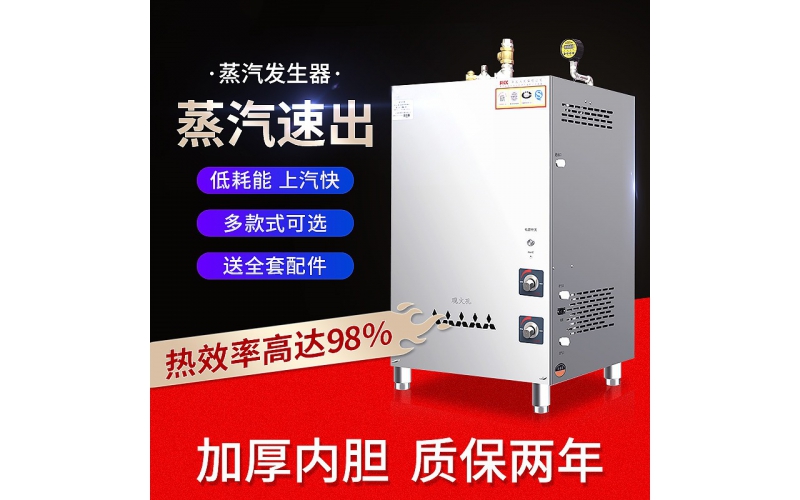 燃?xì)庹羝l(fā)生器商用液化天然氣煮豆腐煮漿釀酒蒸饅頭蒸汽機
